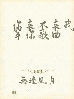 你来不来我都在等你歌曲