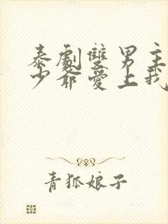 泰剧双男主黑帮少爷爱上我