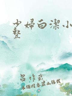 少妇白洁小说完整