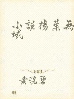 小说杨叶无敌剑域