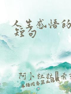 人生感悟的句子 短句