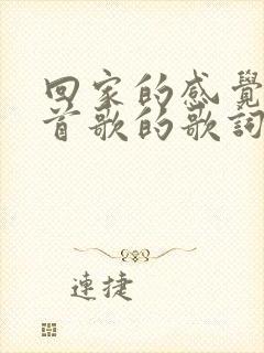 回家的感觉是哪首歌的歌词