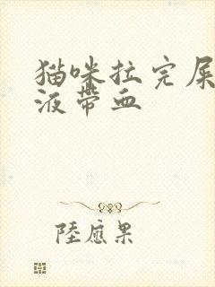 猫咪拉完屎有粘液带血