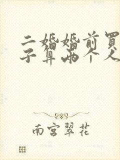 二婚婚前买的房子算两个人共同的财产吗