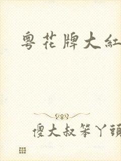 粤花牌大红浙醋