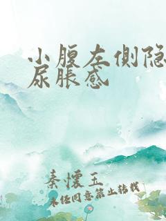 小腹左侧隐痛有尿胀感