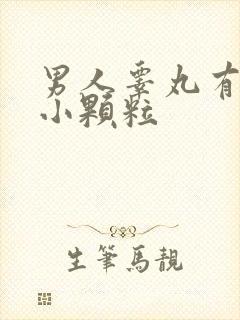 男人睾丸有两个小颗粒