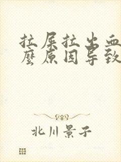 拉屎拉出血是什么原因导致的