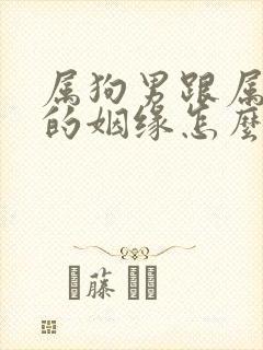 属狗男跟属猴女的姻缘怎么样