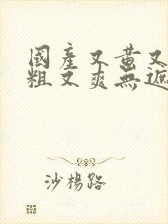 国产又黄又猛又粗又爽无遮挡