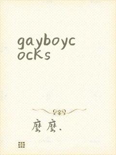 gayboycocks