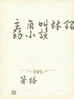 主角叫林铭陈佳的小说