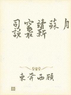 司空靖苏月汐小说最新