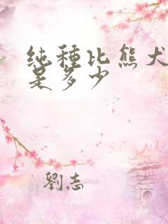 纯种比熊犬价格是多少