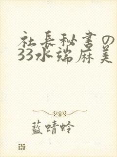 社长秘书の人妻33水端麻美