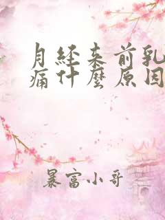 月经来前乳房胀痛什么原因导致的