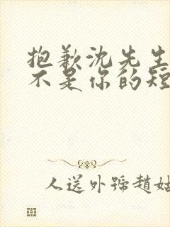 抱歉沈先生孩子不是你的短剧在线观看