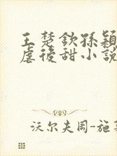 王楚钦孙颖莎先虐后甜小说