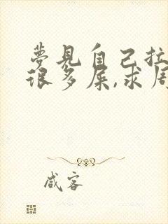 梦见自己拉很多很多屎,求周公解梦