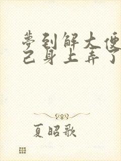 梦到解大便把自己身上弄了很多