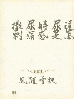 撒尿时尿道口有刺痛感是怎么回事