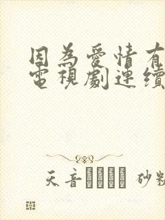 因为爱情有多美电视剧连续剧