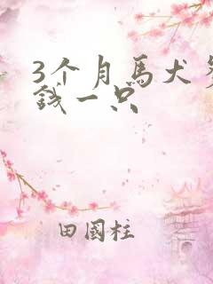 3个月马犬多少钱一只