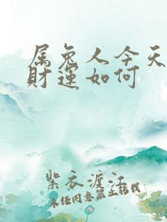 属兔人今天打牌财运如何