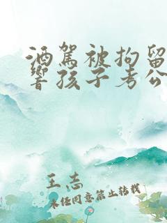 酒驾被拘留会影响孩子考公务员么