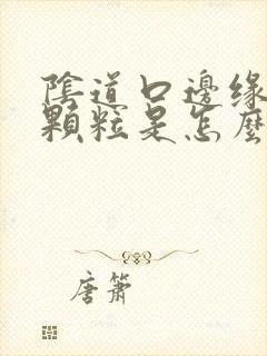 阴道口边缘有小颗粒是怎么回事