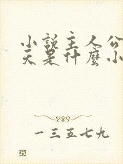 小说主人公杨小天是什么小说