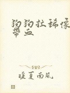 狗狗拉稀像泥浆带血