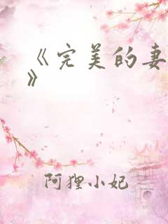 《完美的妻子4》