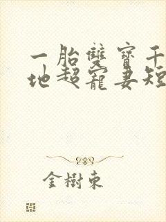 一胎双宝千亿爹地超宠妻短剧在线