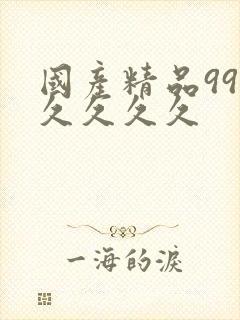 国产精品99久久久久久