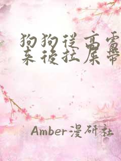 狗狗从高处摔下来后拉屎带血