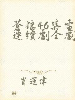 苍狼46集电视连续剧全剧剧情介绍