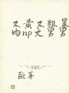 又黄又粗暴的纯肉np文男男