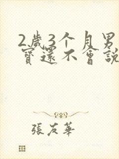 2岁3个月男宝宝还不会说话