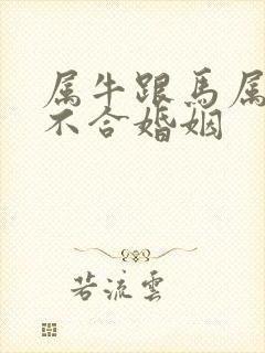 属牛跟马属相合不合婚姻