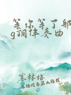 等你等了那么久g调伴奏曲