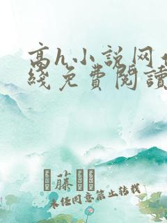 高h小说网站在线免费阅读