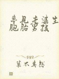 梦见老婆生了双胞胎男孩