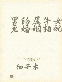 男的属牛女的属兔婚姻相配吗