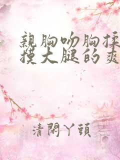 亲胸吻胸揉屁股摸大腿的爽文