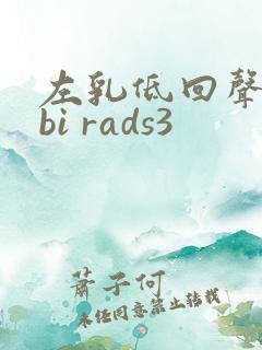 左乳低回声结节bi rads3
