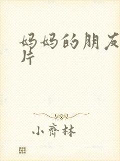 妈妈的朋友理伦片
