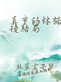 真实的林楠笙最后结局