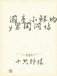 国产小鲜肉gay男同网站