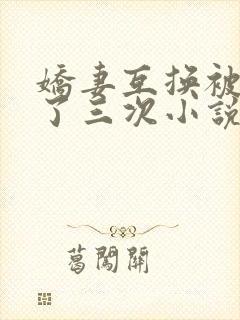 娇妻互换被高潮了三次小说